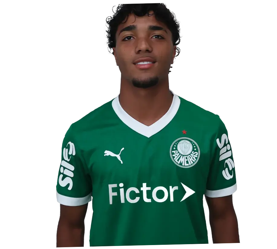 Palmeiras: Antara Transfer Pemain dan Persiapan Menghadapi Kompetisi