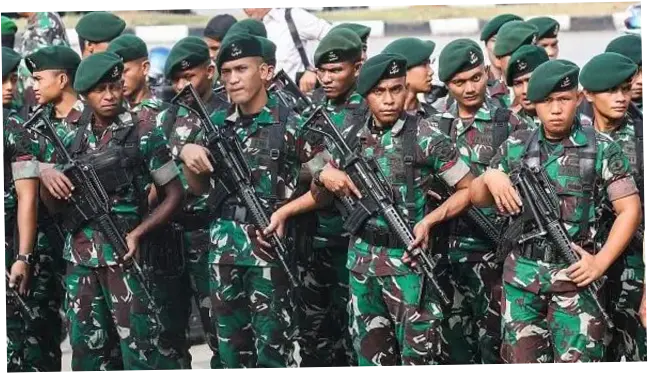 Tentara Nasional Indonesia Angkatan Darat: Urutan Pangkat, Masa Ikatan Dinas, dan Kontribusi