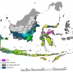Cuaca Indonesia: Prakiraan dan Peringatan Dini untuk Masyarakat